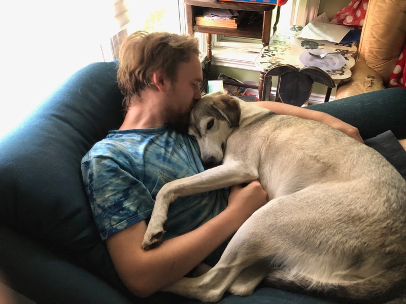 Dog lying curled up on my lap with my hand petting his belly and kissing his head